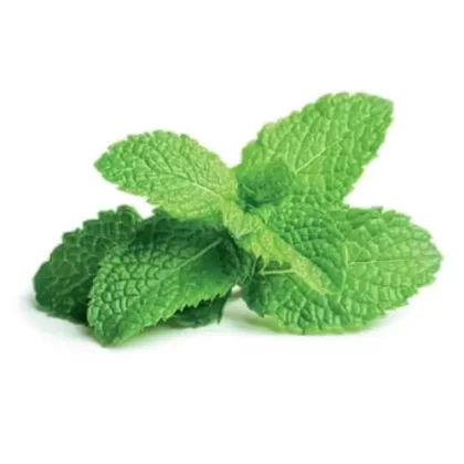 Flavor West – Spearmint Natural 15mL - Vapecraftinc