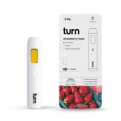 Turn Hemp THCa Blend Disposable Vape Pen 2g (Sativa) - Hot Girl Summer, Cactus Cool