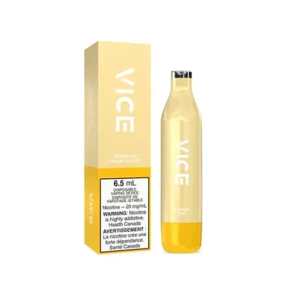 VICE 2500 DISPOSABLES