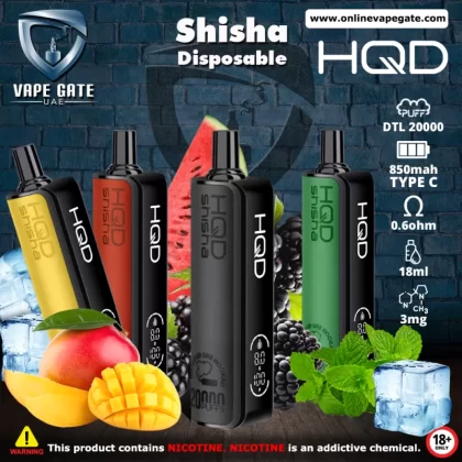 HQD Shisha Disposable Vape (20,000 PUFFS) - Ice Mint / 3 mg