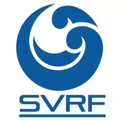 Refreshing – SVRF 60ml (3mg) - Vape Store