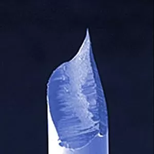 DPT10