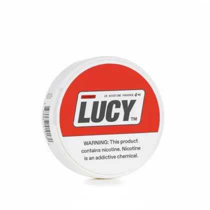 Lucy Nicotine Pouches – Cinnamon - Vape Product, Vape Product (EEF6B8)