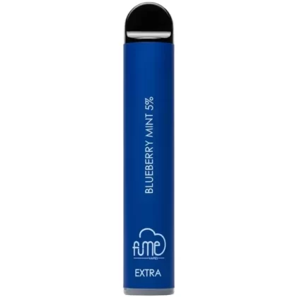 Blueberry Mint - 1 Fume Extra