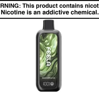 FEELA NIC 40K Disposable Vape – 40,000 Puffs - Berry Ice, Blue Razz