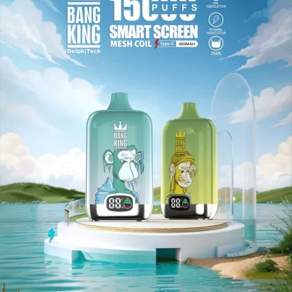 Bang King Smartscreen 15000 Puffs | 0%-5% strength, 25mL, smart display, bulk vape - Aiviouvapes
