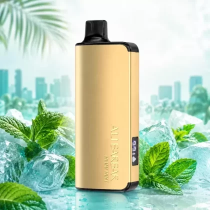 Alibarbar Ingot 9000 Puffs – Miami Mint - Swixvape