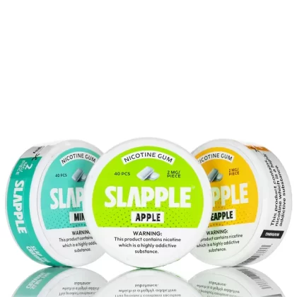 Slapple Nicotine Gum - 40ct - Mint - 2mg