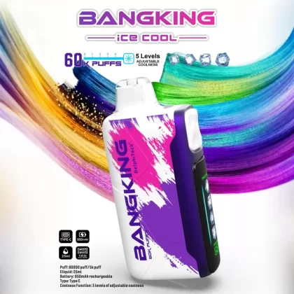 Bang King Ice Cool 60K | 60,000 puffs disposable vape with adjustable coolness - Aiviouvapes