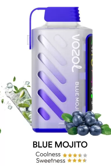 VOZOL Gear Power 20000 Rechargeable Disposable Kit (LED Display) - BLUE RAZZ ICE - Image 3