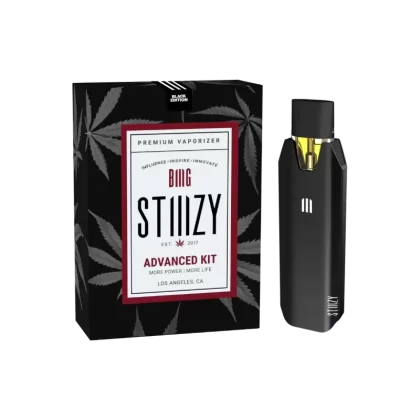 Stiiizy Advanced Original Biiig Battery - Green, Orange (E3BCCE)