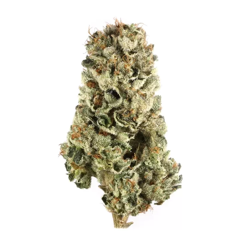 Holy Grail(Hybrid)