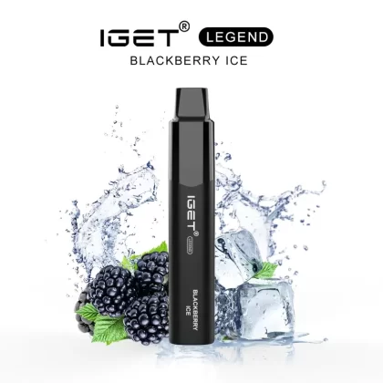 Wholesale Original IGET Legend Disposable Vape Device 4000puffs 1350mah ( )