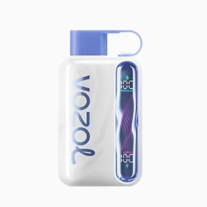 Blueberry Mint – Vozol Star 40K