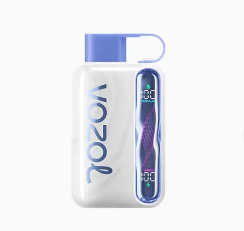 Blueberry Mint – Vozol Star 40K
