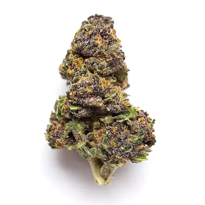 Purple Lambo (Indica Dom. Hybrid)