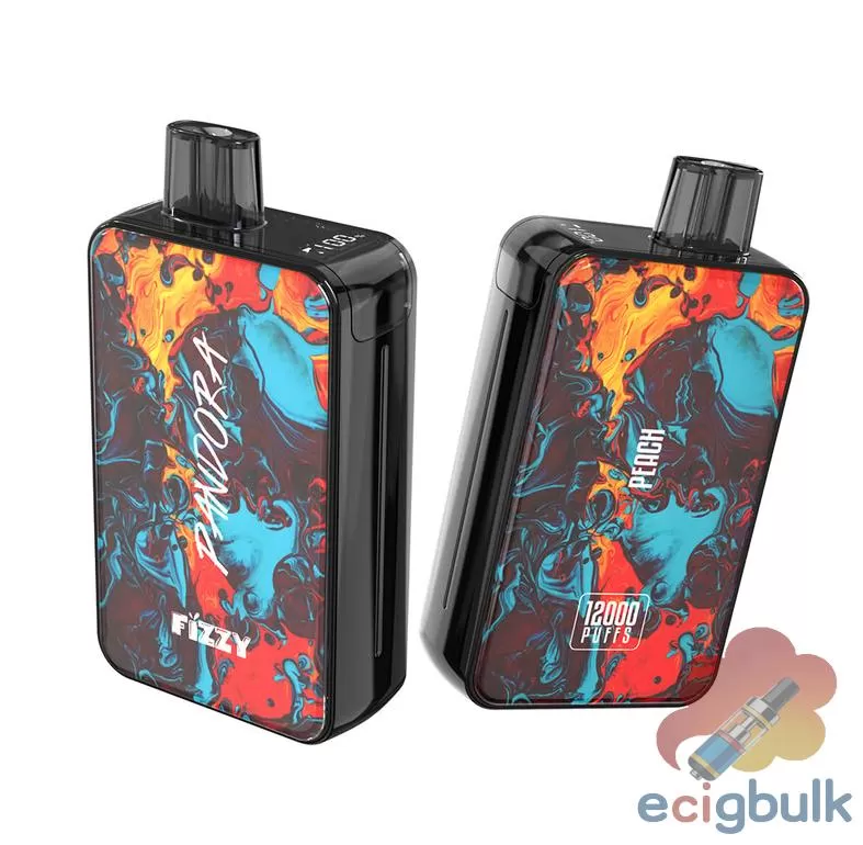 Fizzy Pandora 12000 Rechargeable Disposable Vape Wholesale - Image 3