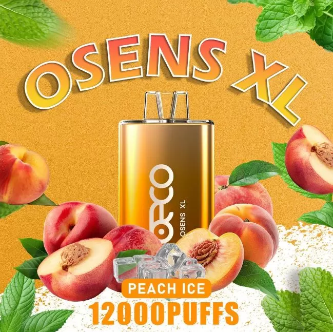 Beco Osens XL Disposable Vape (12,000 Puffs) - 50 mg / Strawberry Watermelon - Image 3