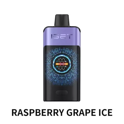 IGET ONE 12000 Puffs – Raspberry Grape Ice - Vape Store
