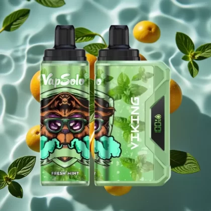 VapSolo VIKING 12000 Puffs Disposable Vape Fresh Mint – 22ml E-Liquid, Type-C Charging, LED Display - Bangvapeaustralia