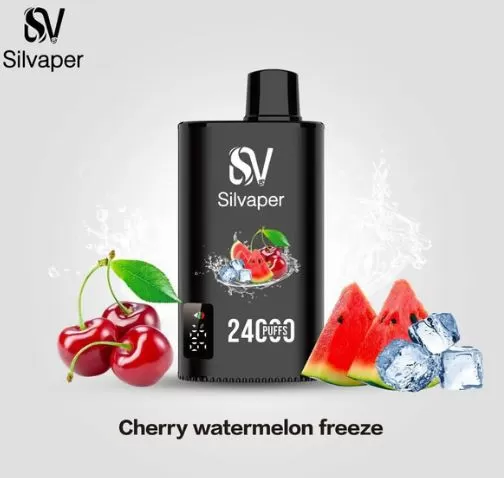 Silvaper Disposable Vape 24000 Puffs - 20 mg / Strawberry Kiwi - Image 3