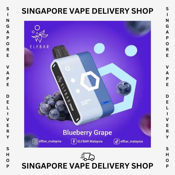 Elf Bar Snap 14000 Puffs - Starter Kit (Device + Cartridge) / Lychee Juicy Peach - Image 2