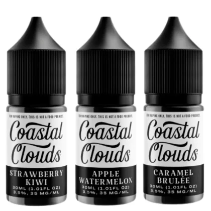 Coastal Clouds Salt 30ml - Ecigdepot
