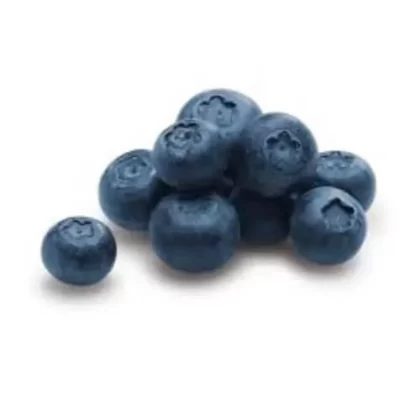 The Flavor Apprentice – Blueberry Extra 15mL - Vape Store