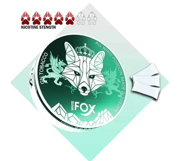 WHITE FOX NICOTINE POUCHES - 12 mg / Double Mint - Image 2
