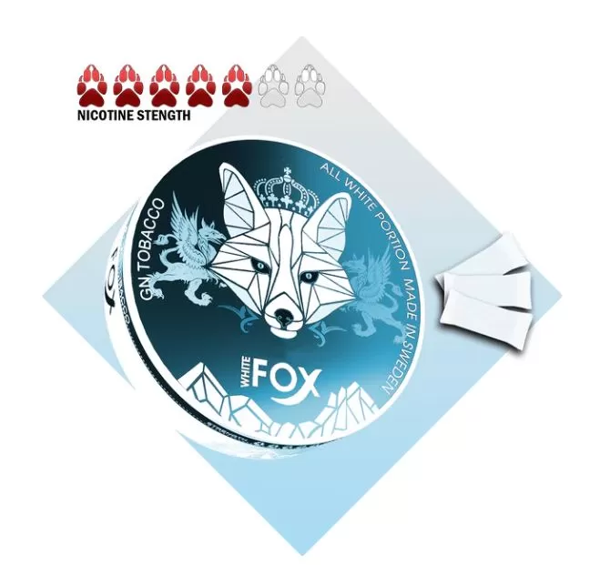 WHITE FOX NICOTINE POUCHES - 12 mg / Double Mint - Image 3