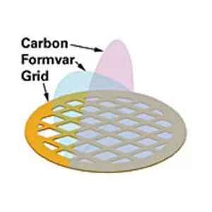 Formvar Stabilized with Carbon (5-10nm)