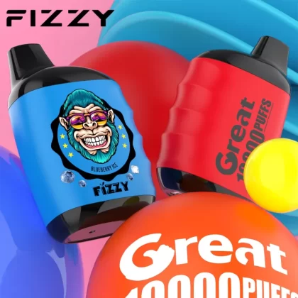 Fizzy GREAT 10000 Puffs Rechargeable Disposable Vape - Mixed Berry