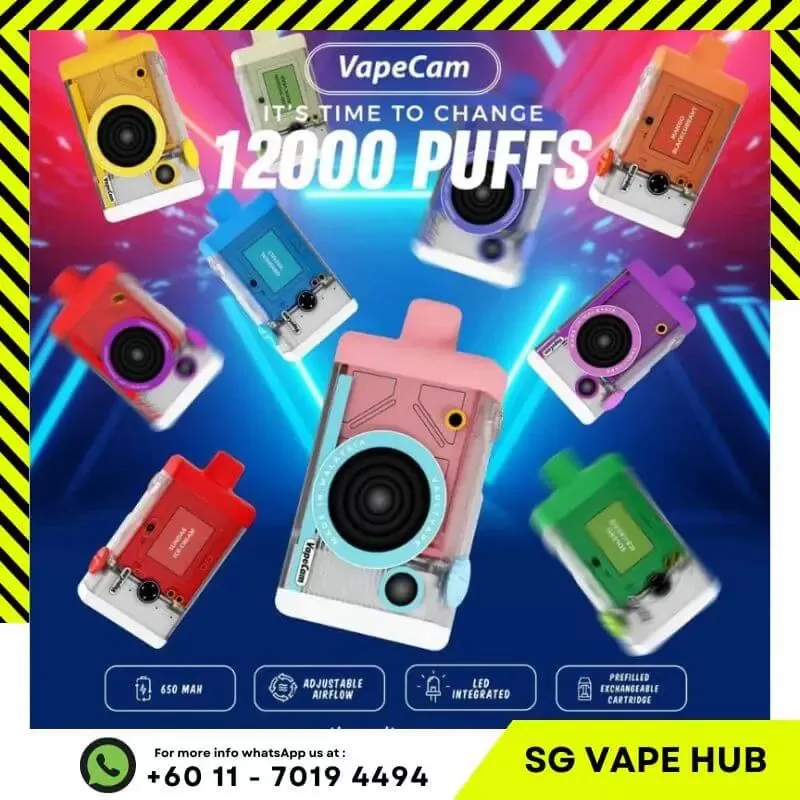 VAPECAM 12,000 Puffs - Starter Kit (Battery + Cartridge) / Blueberry Jam - Image 3