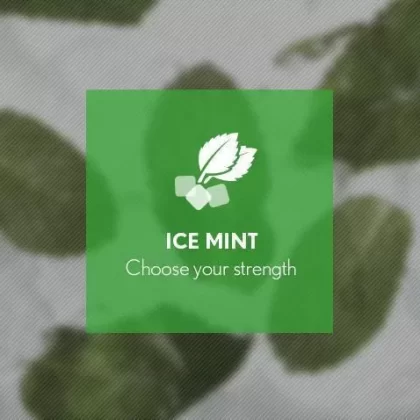 Ice Mint By Blast E-Liquid 10ml - 6mg