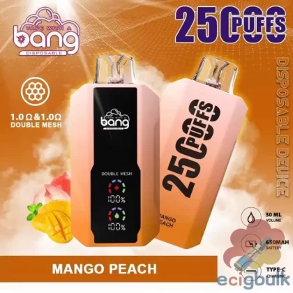Bang 25000 Disposable Vape: 25K Puffs, Rechargeable Type-C Design