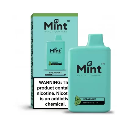 MNKE Bars Disposable Vape – Spearmint (20, 50 mg) 6500 Puffs