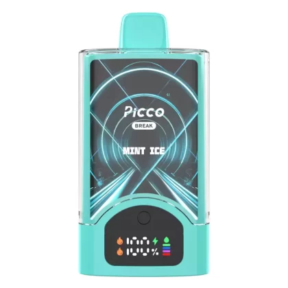 Picco Break 30000 Puffs – Mint Ice - Vape Store