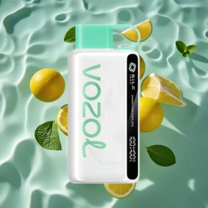 VOZOL STAR 9000/12000 Disposable Vape Lemon Mint – 650mAh, 30% Faster Charge, Recycled Plastic, Shake Display, S.i.L.C TECH - Bangvapeaustralia