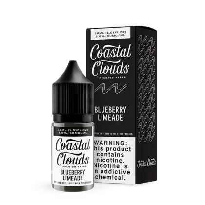 30ML | Blueberry Limeade by Coastal Clouds Salt