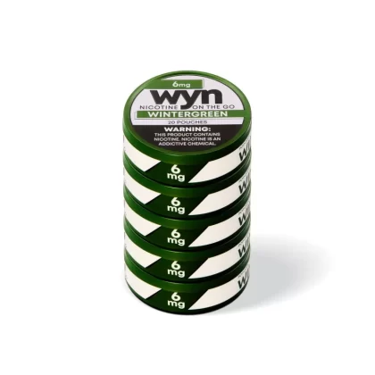 WYN Nicotine Pouches 5pk - Spearmint / 10mg - Skullvaping