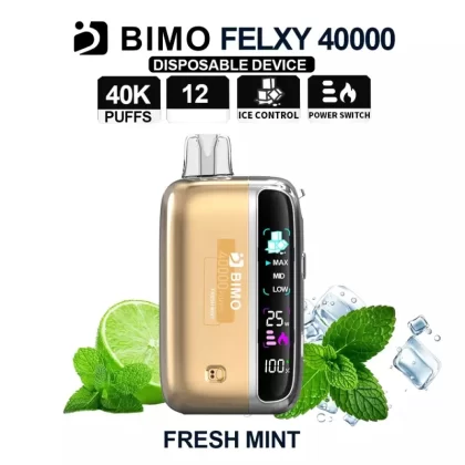 BIMO Felxy 40000 Kit – Fresh Mint - Ozvapeone (C55FB4)