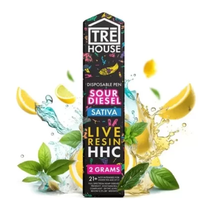 TreHouse HHC Disposable Vape Sour Diesel 2G | Rokin - Vape Store