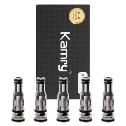 Kamry P6 0.5Ω Mesh Coils (5 Pack) | P6 E-Pipe Coils - Ecigdepot