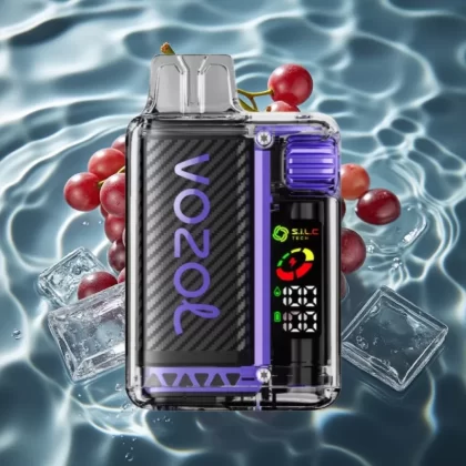 VOZOL Vista 20000 Puffs Disposable Vape Grape Ice with OLED Screen & S.i.L.C Tech Dual Mesh Coil - Bangvapeaustralia
