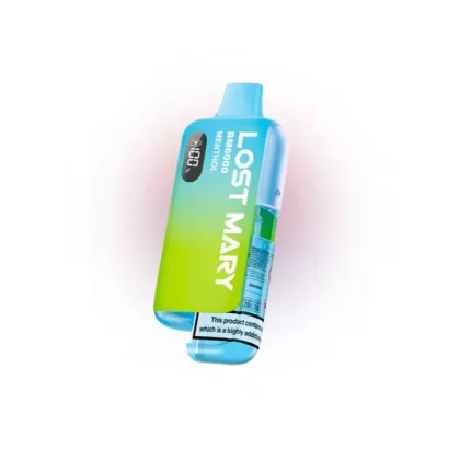 Lost Mary BM6000 Prefilled Pod Kit Menthol - Ejuicewarehouse