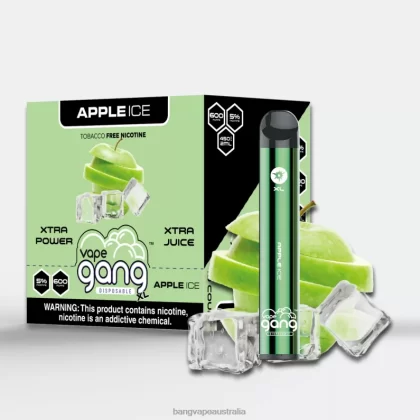 Vape Gang XL Disposable Vapes 600 puffs (Box of 10) 6006N67 Apple Ice – Vape Gang Melbourne - Bangvapeaustralia