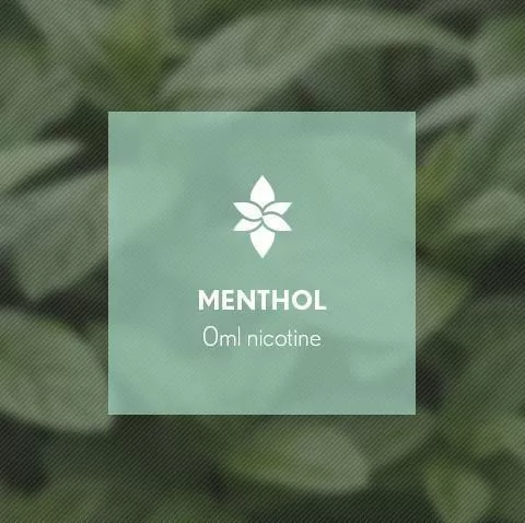 Menthol By Blast E-Liquid 10ml - 18mg - Image 2
