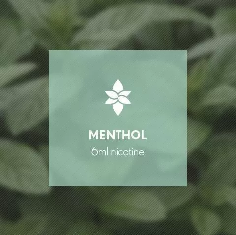 Menthol By Blast E-Liquid 10ml - 18mg - Image 3