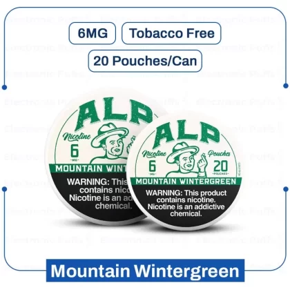 Buy ALP Mountain Wintergreen 6MG Nicotine Pouches - Vape Store