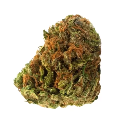 TSK Twd. Blue Dream